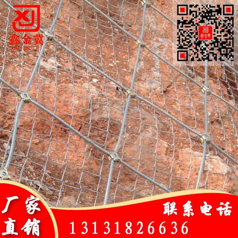 主動(dòng)網(wǎng)、鋼絲繩網(wǎng).jpg