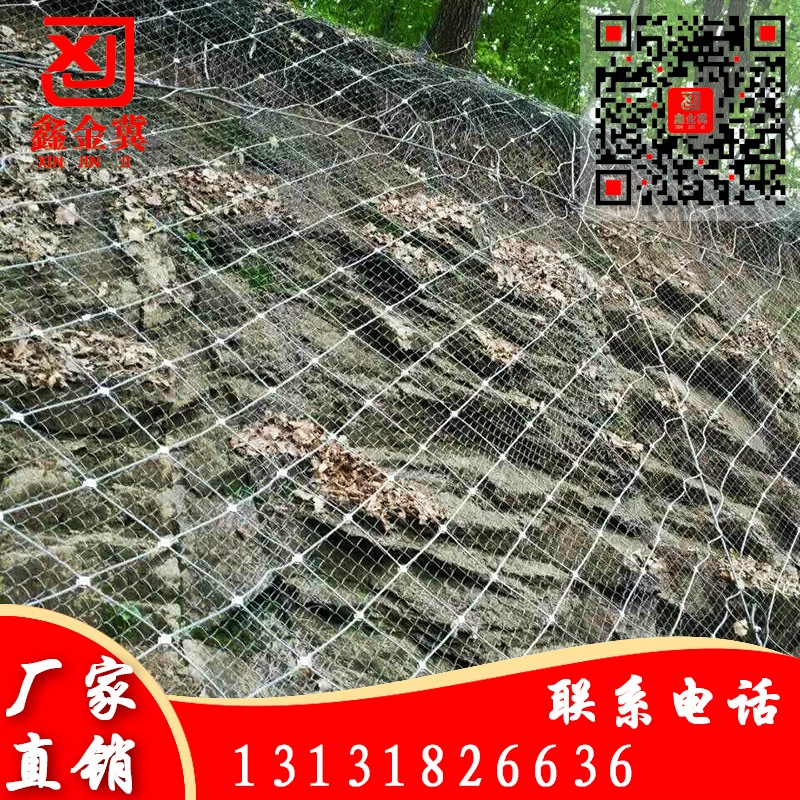 主動(dòng)防護(hù)網(wǎng).jpg