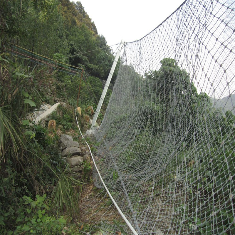 平陽生態(tài)綠化被動網 虎易網.jpg