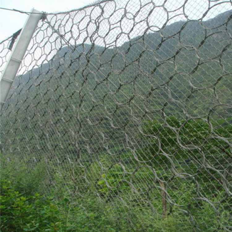 平陽生態(tài)綠化被動(dòng)網(wǎng) 愛喇叭網(wǎng).jpg